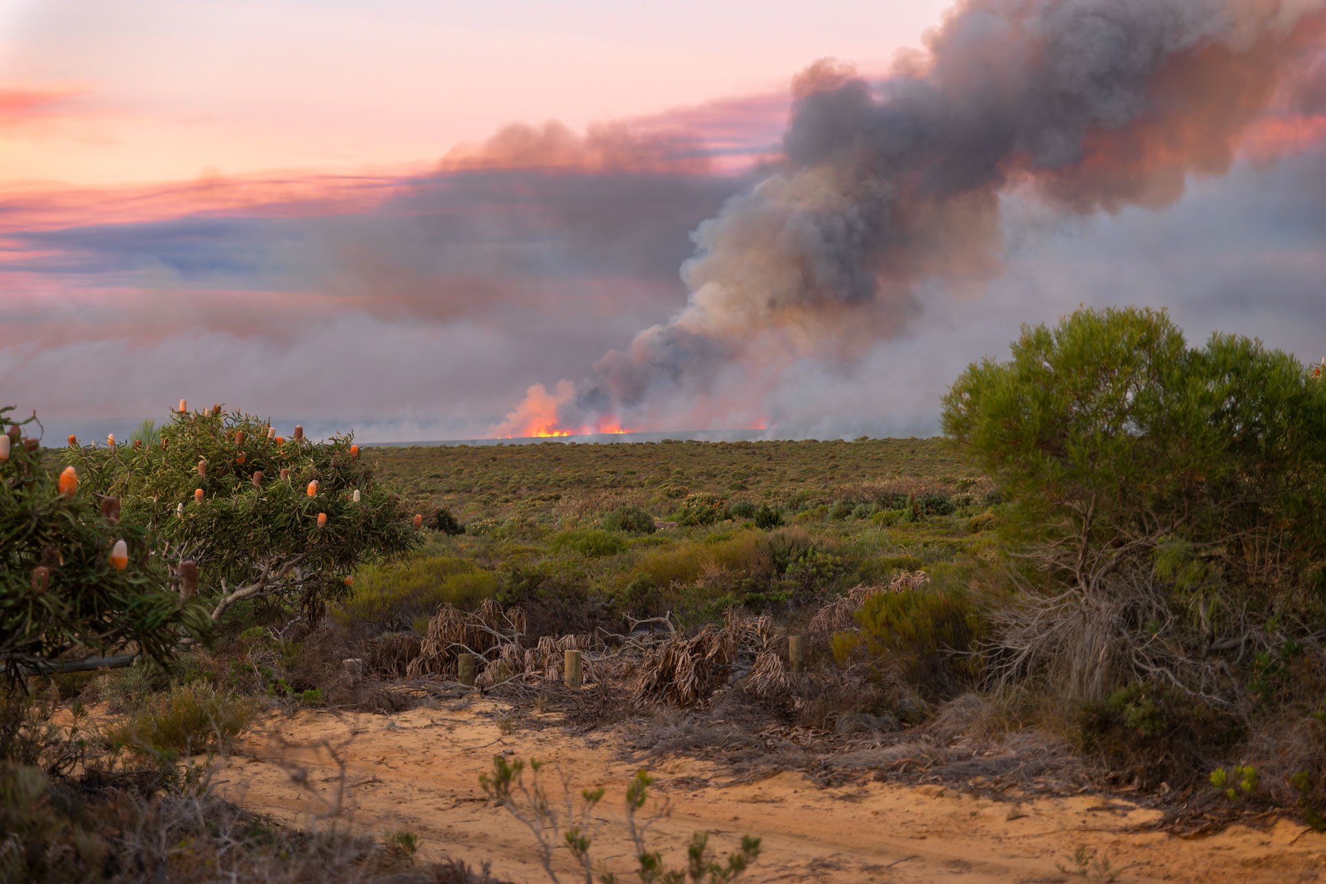 Kalberri - jährliche Brandrodung